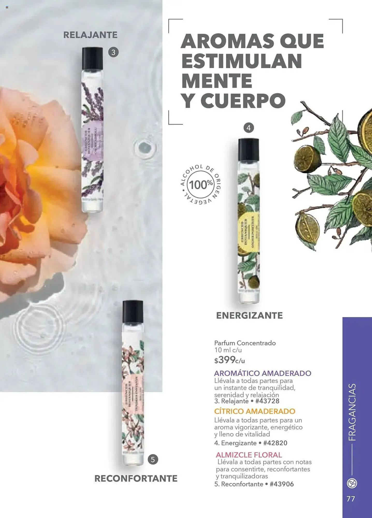 Catálogo de Catálogo Yves Rocher 15 de julio al 5 de agosto 2025 - Pagina 79