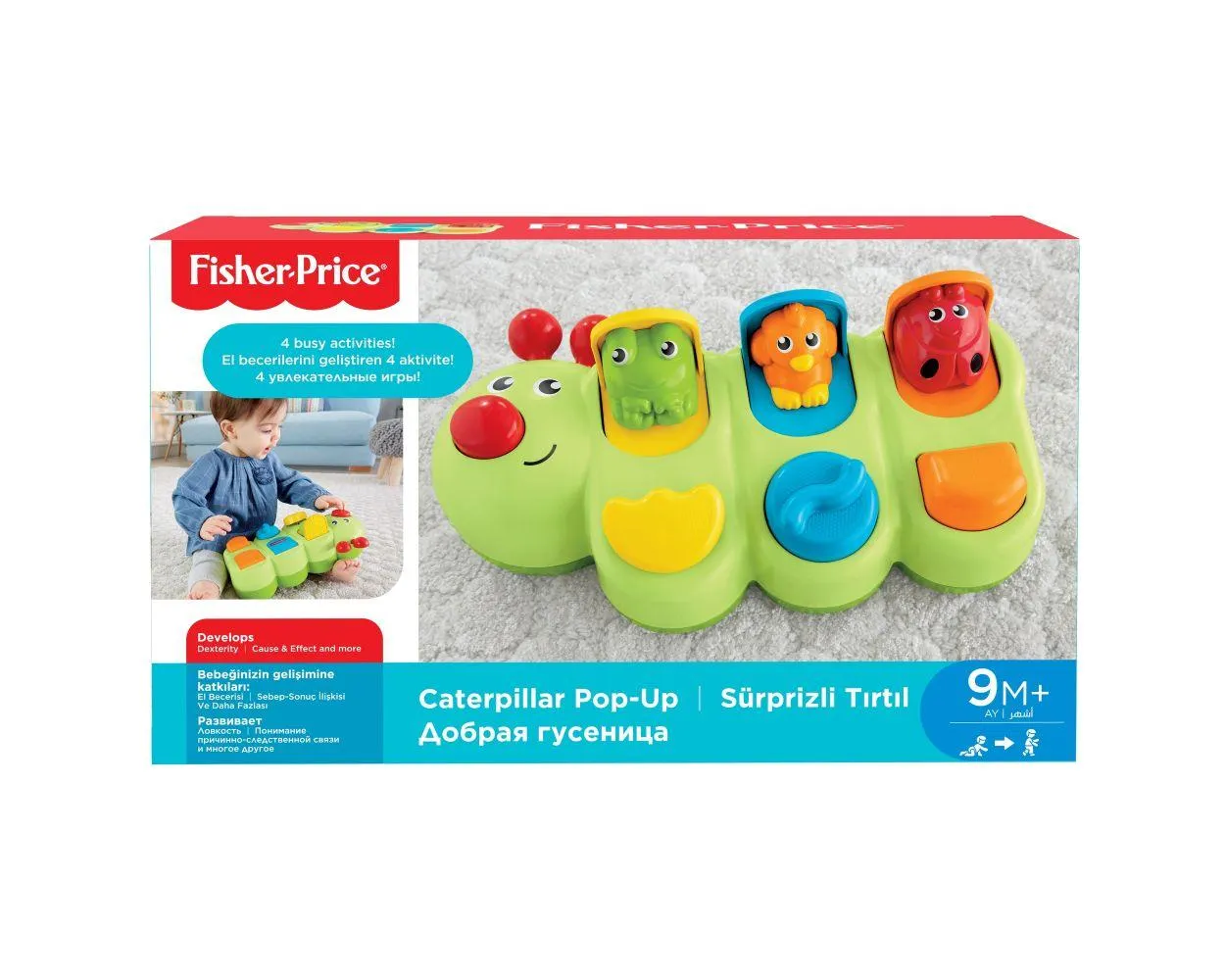 F-P ORUGA DE ACTIVIDADES GCM80