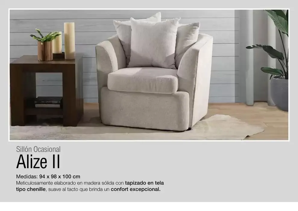 Catálogo de Muebles Dico Sofacama Y Sillones  10 de diciembre al 31 de diciembre 2024 - Pagina 13