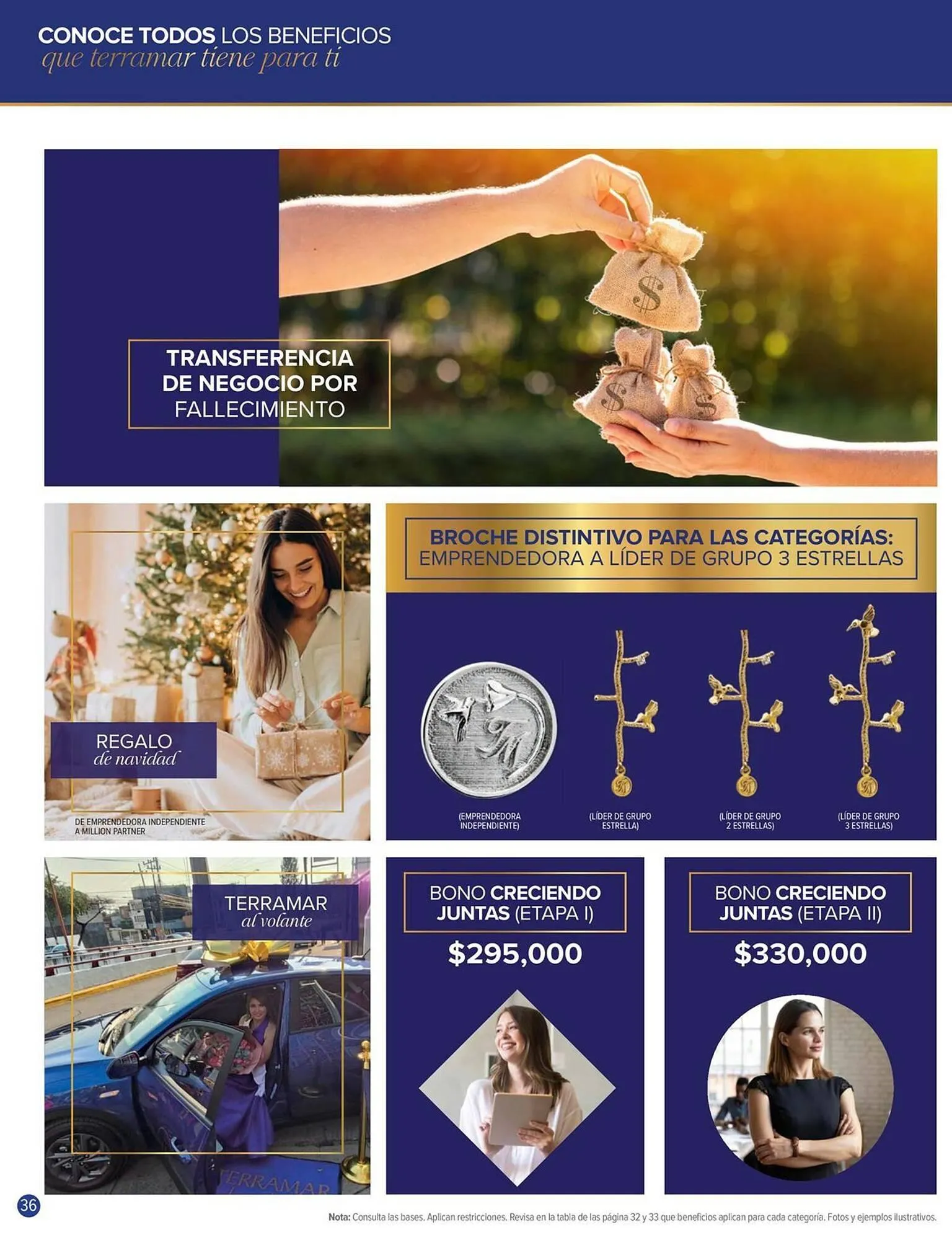 Catálogo de Catálogo Terramar Brands 1 de mayo al 31 de mayo 2026 - Pagina 36