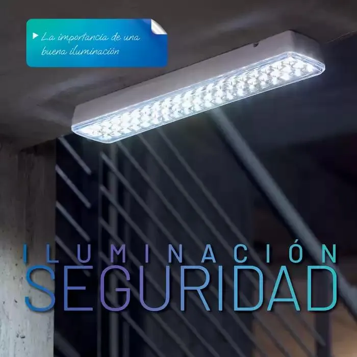 Catálogo de Catálogo 2024 10 de octubre al 31 de enero 2025 - Pagina 306