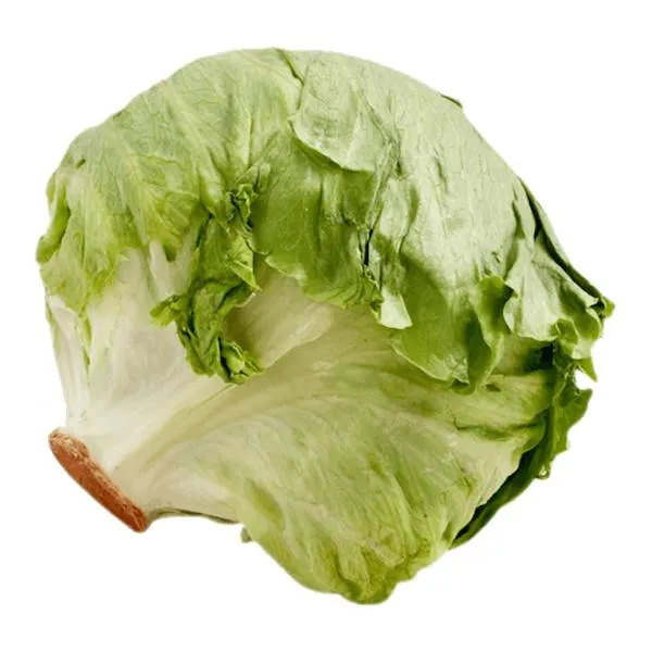 Lechuga romana pieza