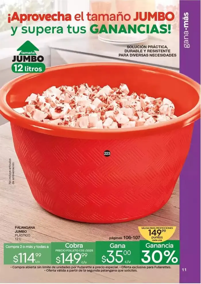 Catálogo de Fuller Revista Gana Más C02 1 de enero al 31 de diciembre 2025 - Pagina 11