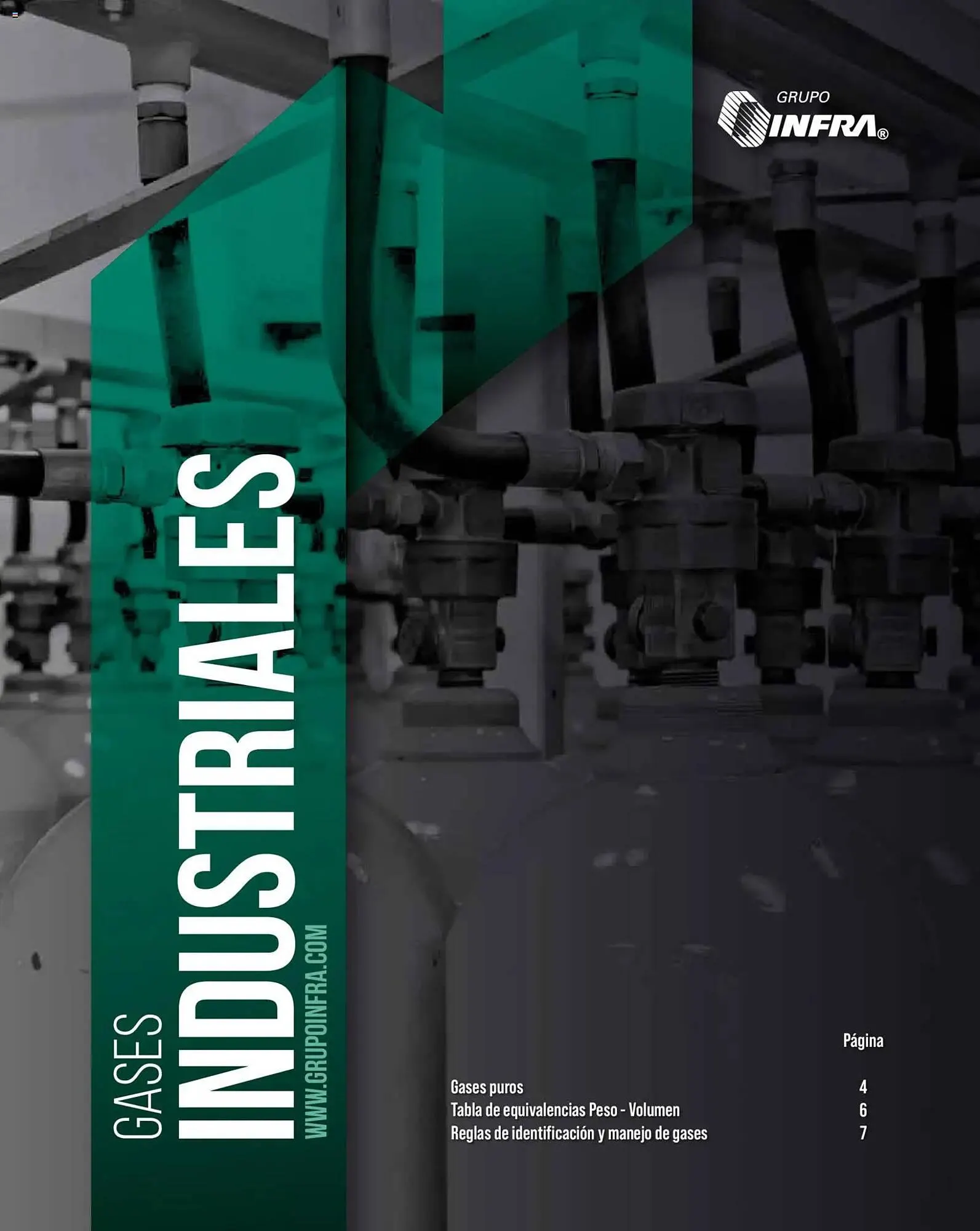 Catálogo de Catálogo Infra 28 de enero al 1 de enero 2027 - Pagina 1