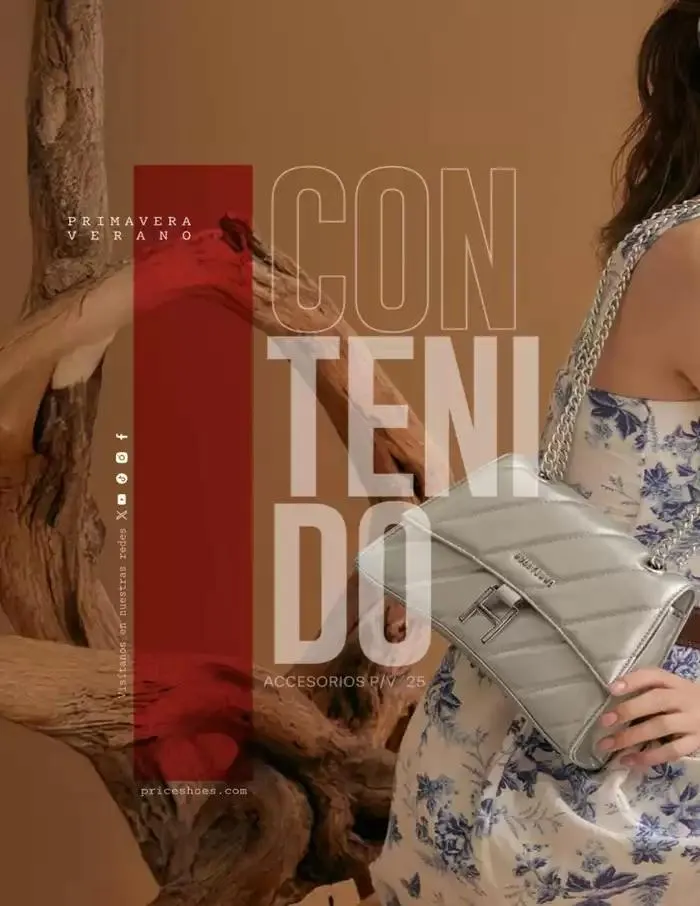 Catálogo de ACCESORIOS | PRI-VER | 2025 | 1E 1 de marzo al 30 de septiembre 2025 - Pagina 2