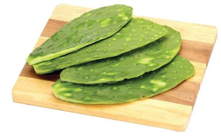Nopal Limpio Mt