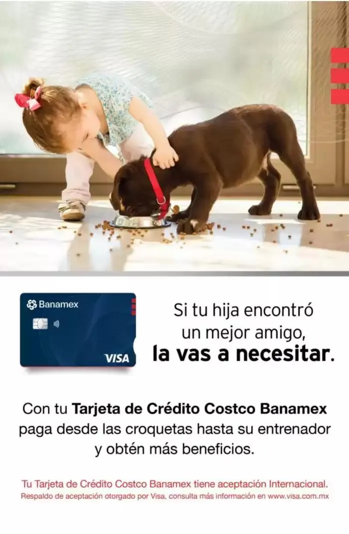 Catálogo de Catálogo Costco 1 de abril al 30 de abril 2025 - Pagina 17