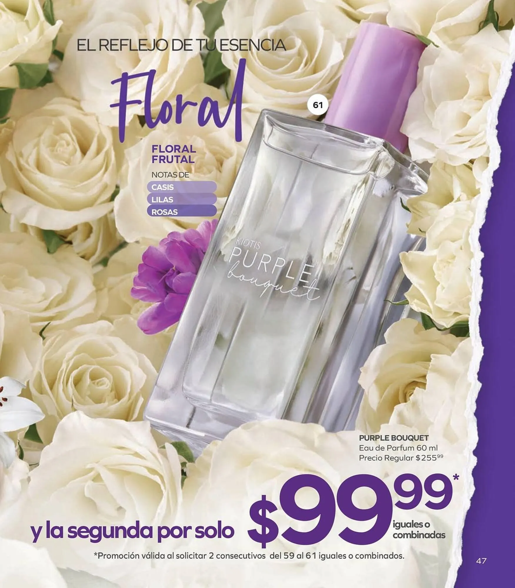 Catálogo de Catálogo Stanhome 6 de enero al 17 de enero 2026 - Pagina 51