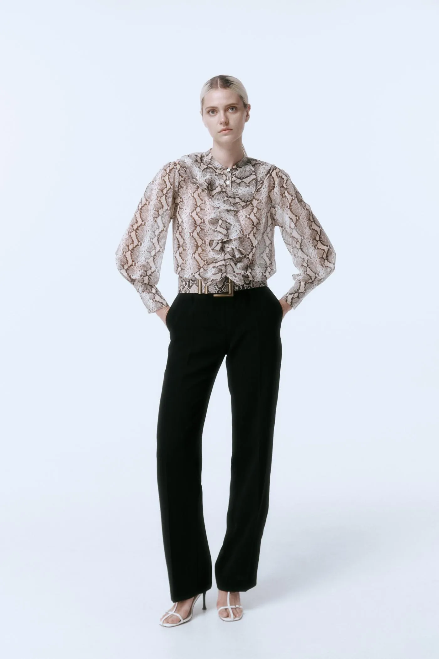 Camisa chorreras serpiente