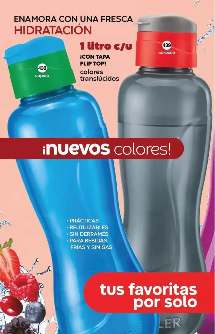 Catálogo de Fuller CAMPAÑA 19 27 de diciembre al 14 de enero 2025 - Pagina 80