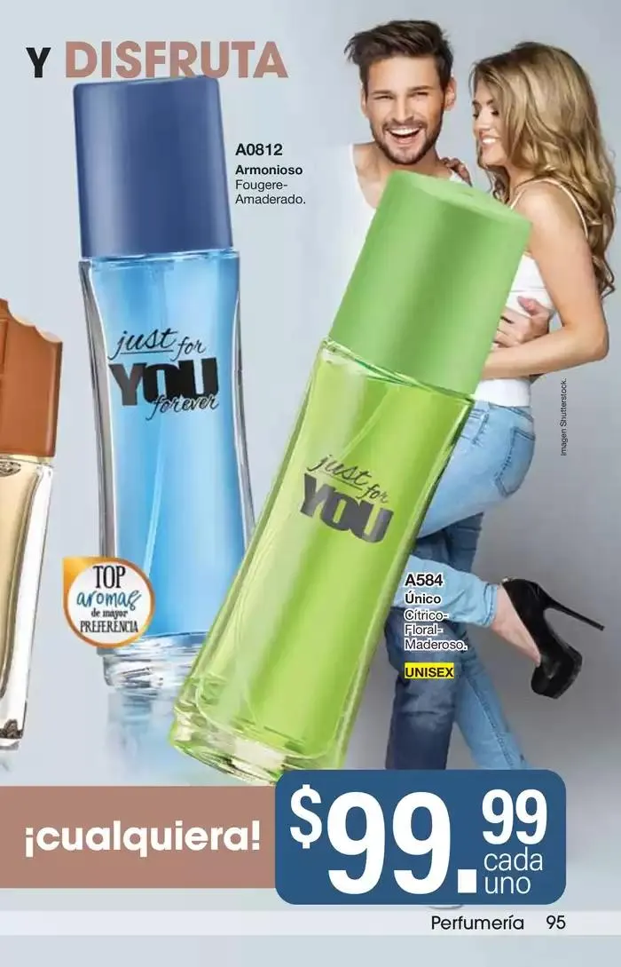 Catálogo de Arabela Campaña 24 24 de octubre al 14 de noviembre 2024 - Pagina 93