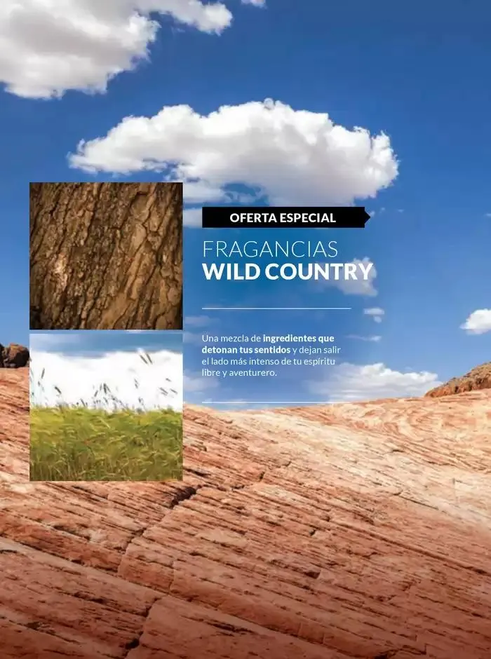 Catálogo de Avon COSMÉTICOS C7 17 de marzo al 7 de julio 2025 - Pagina 95