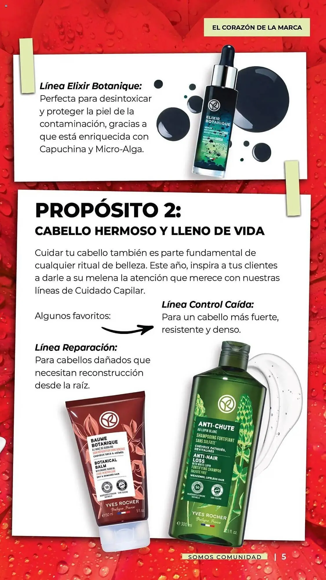 Catálogo de Catálogo Yves Rocher 31 de diciembre al 10 de febrero 2025 - Pagina 5