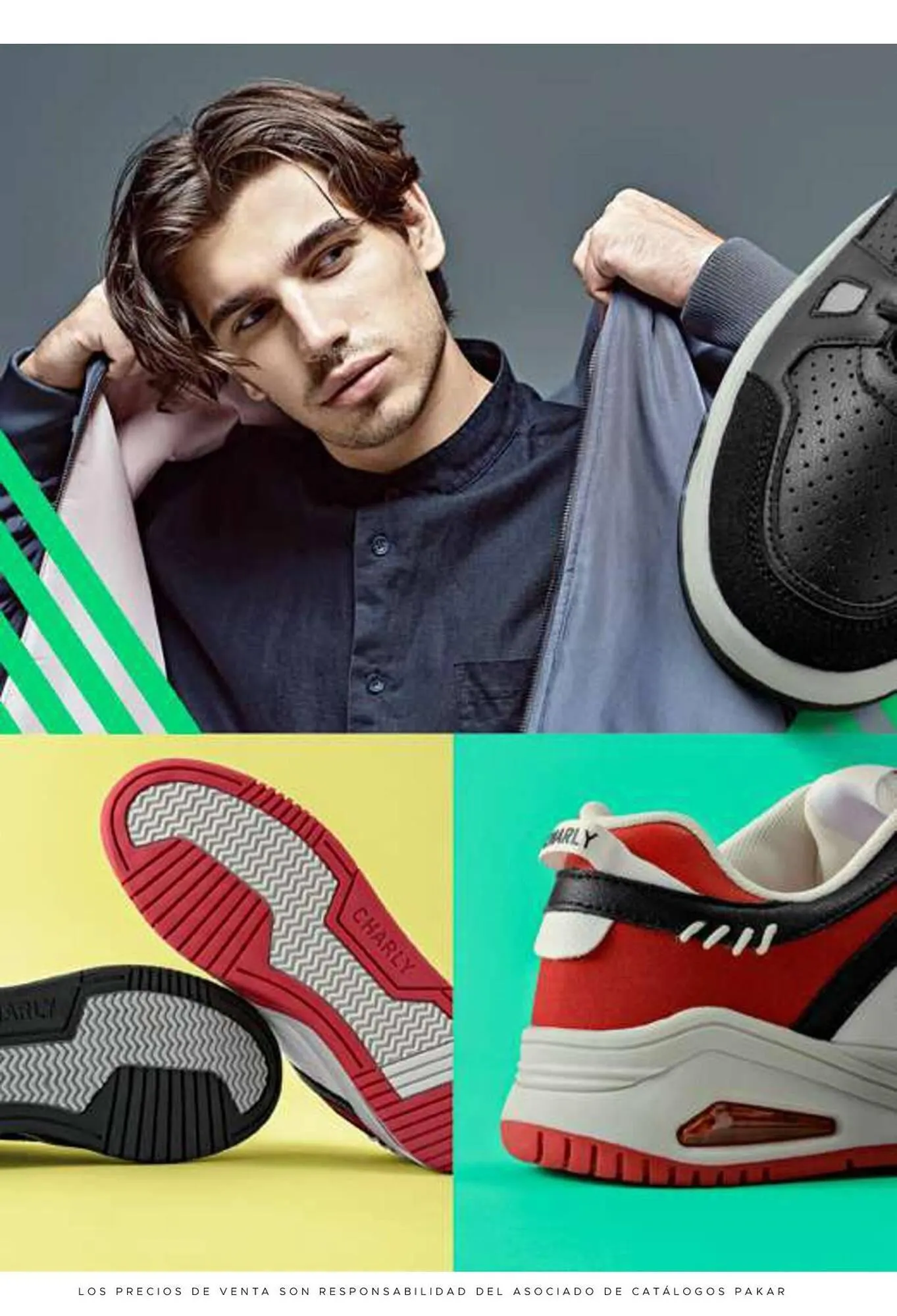 Catálogo de Catálogo SC Pakar 30 de enero al 28 de febrero 2026 - Pagina 74