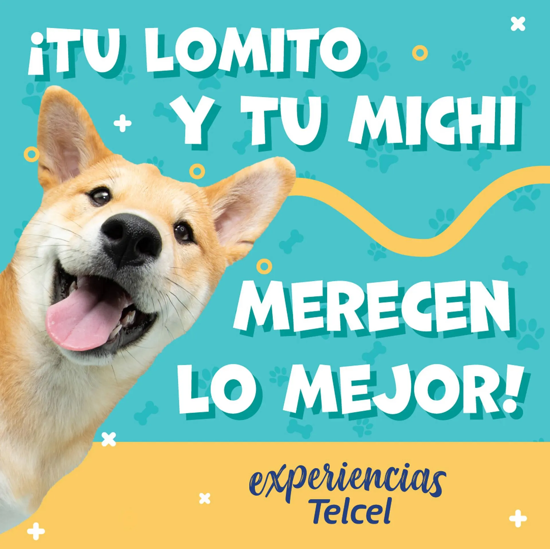 Catálogo Telcel - 1