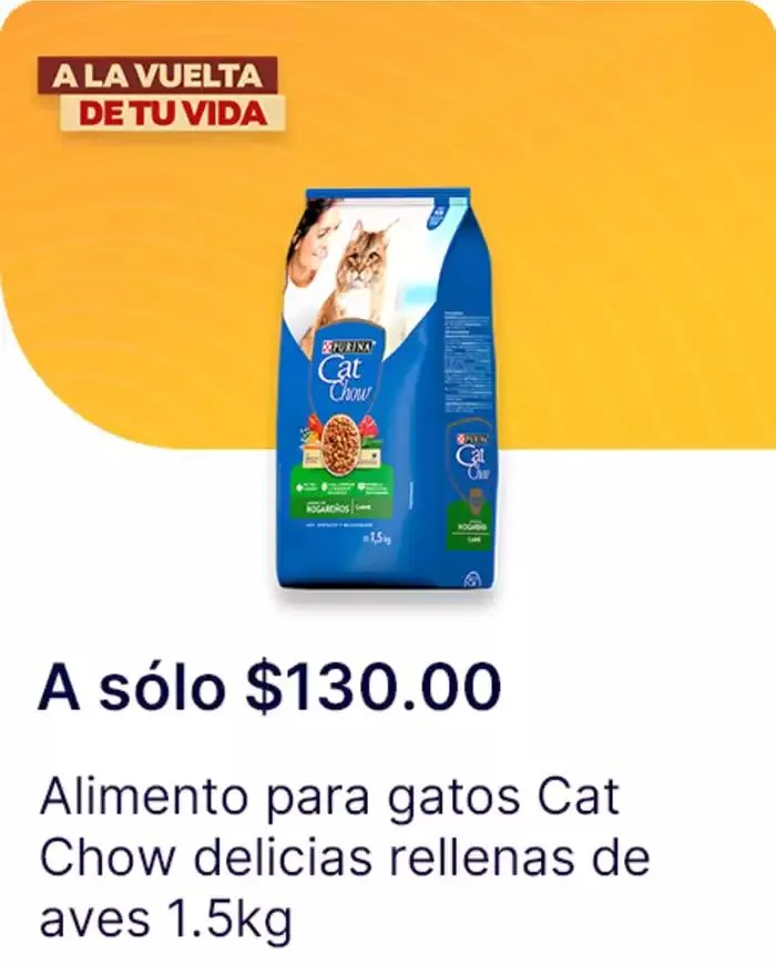 Catálogo de Ofertas principales para todos los cazadores de gangas 11 de diciembre al 25 de diciembre 2024 - Pagina 12
