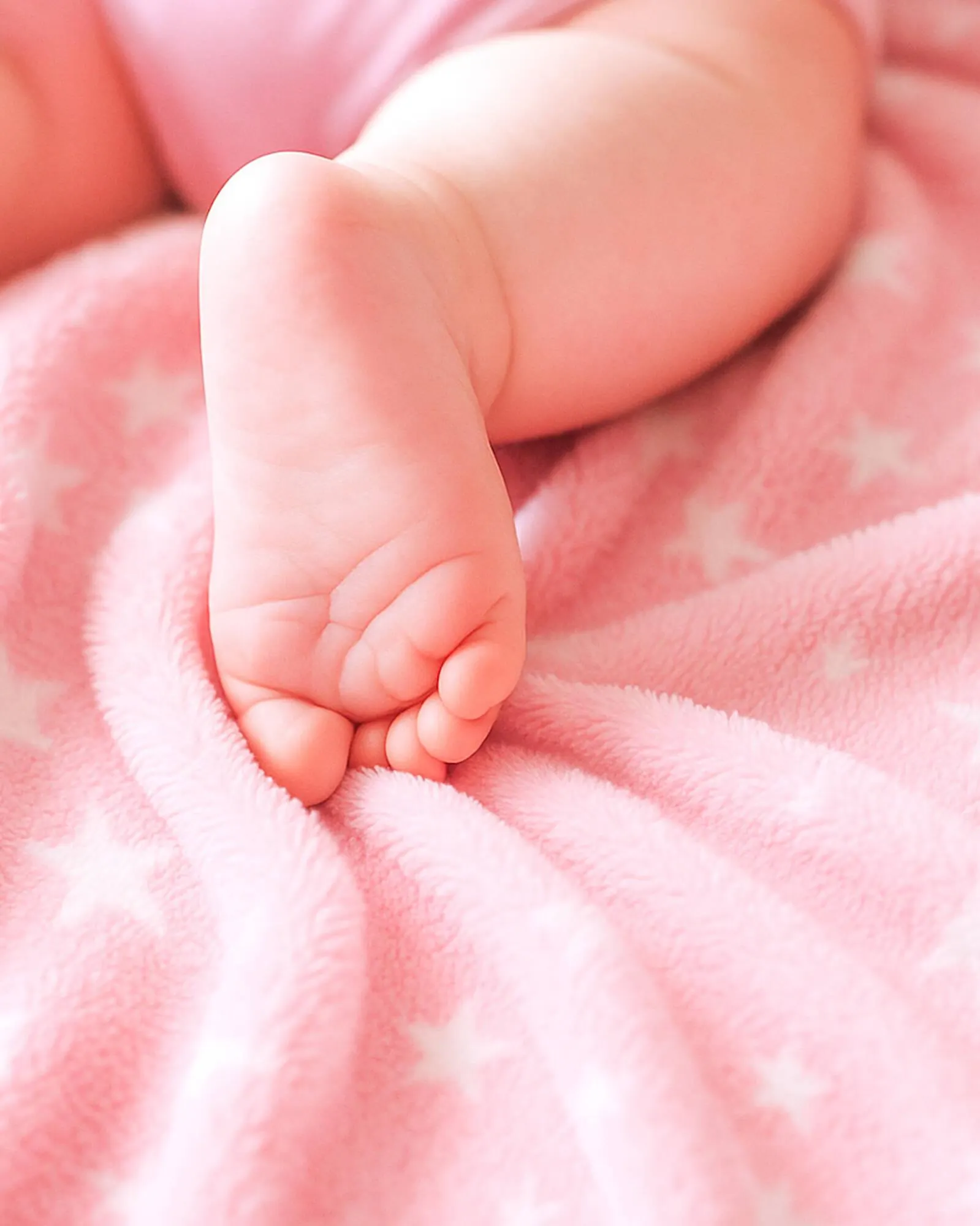 Catálogo Baby Mink - 1