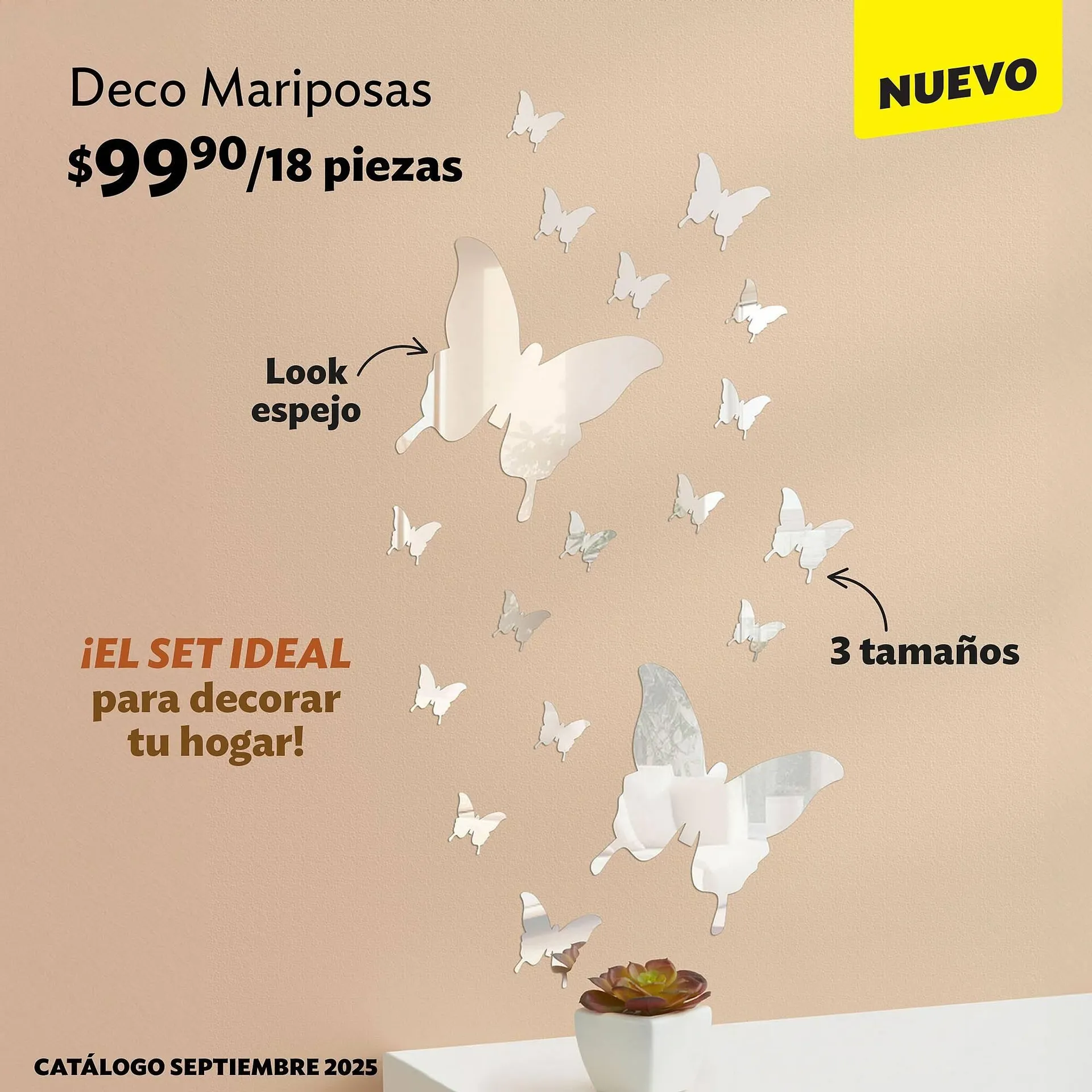 Catálogo de Catálogo BetterWare 10 de septiembre al 30 de septiembre 2025 - Pagina 2