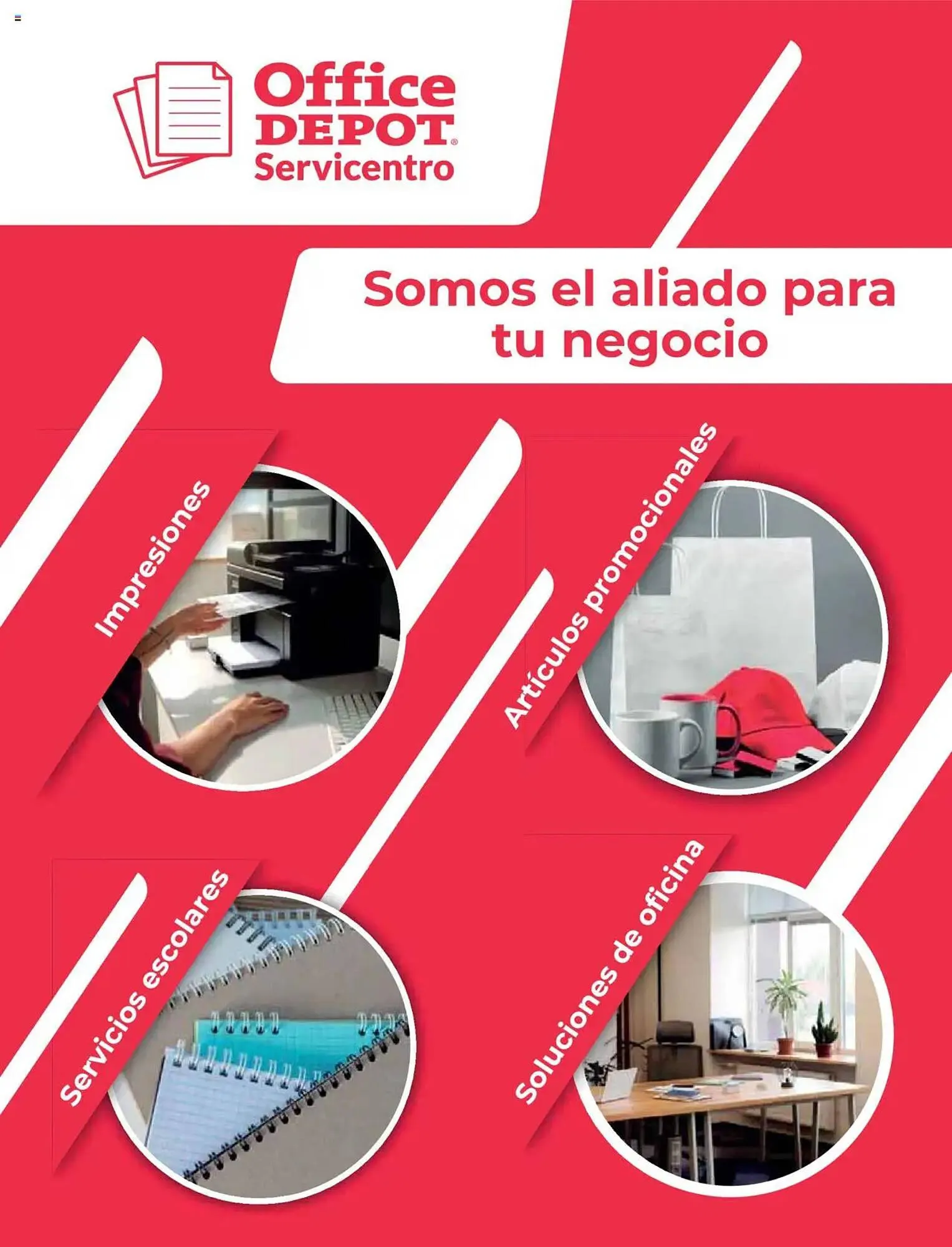 Catálogo de Catálogo Office Depot 9 de enero al 31 de diciembre 2025 - Pagina 91