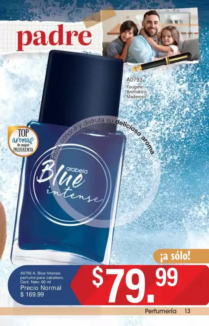 Catálogo de MX 12 de mayo al 29 de mayo 2025 - Pagina 13