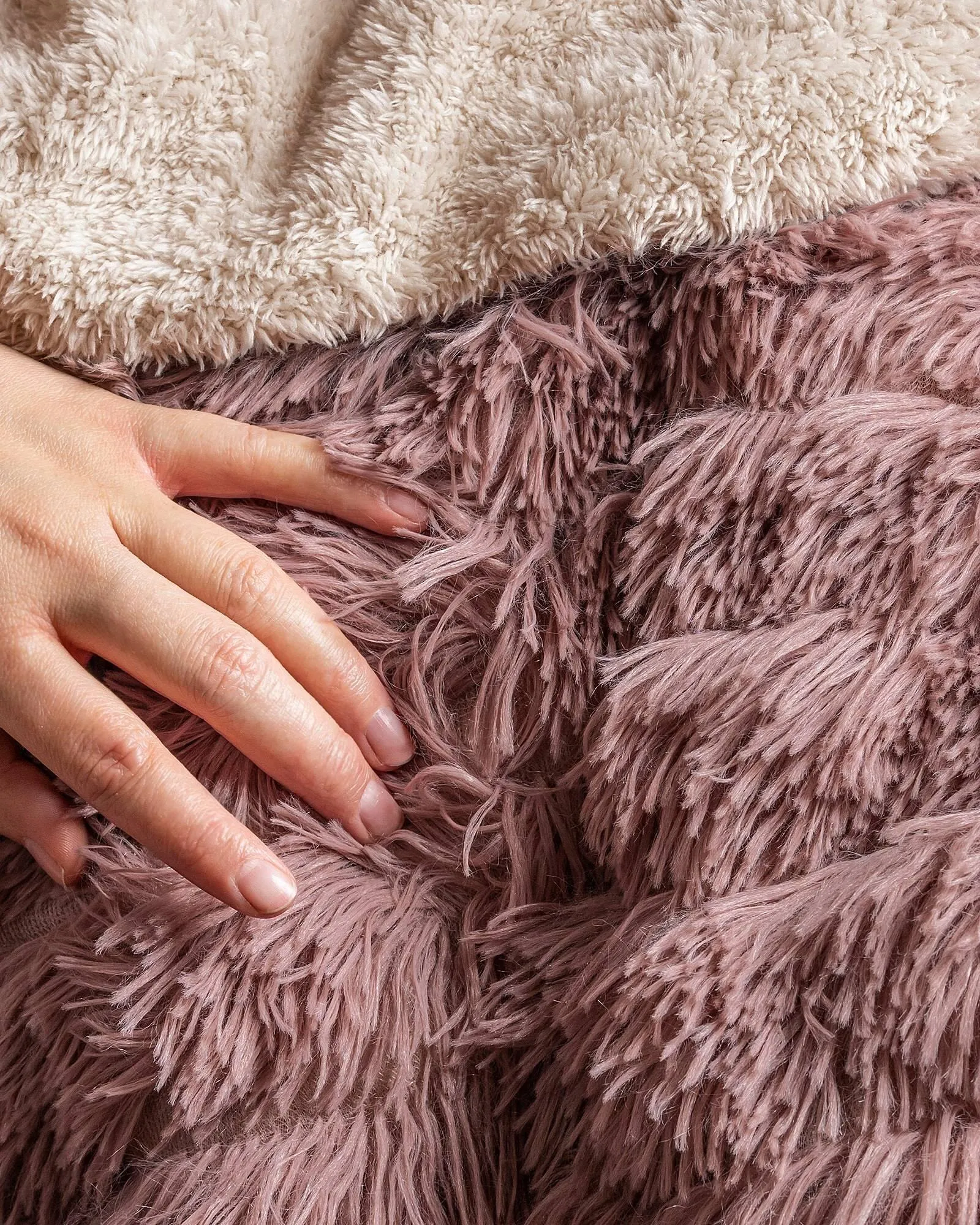 Catálogo de Catálogo Vianney 7 de enero al 20 de enero 2026 - Pagina 1