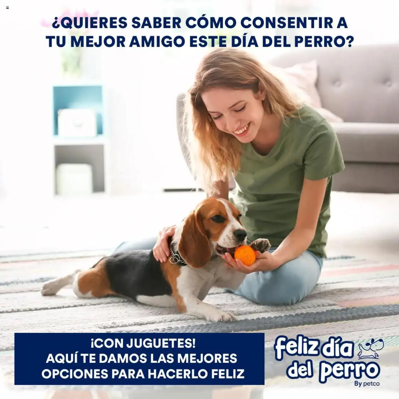 Catálogo de PetCo catálogo 7 de julio al 31 de diciembre 2024 - Pagina 1