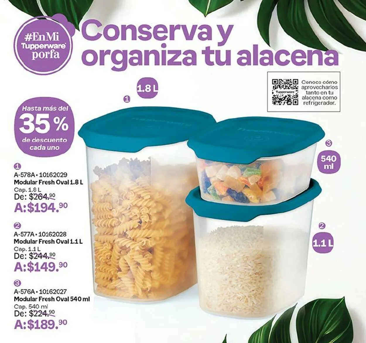 Catálogo de Tupperware 4 de septiembre al 16 de septiembre 2024 - Pagina 62