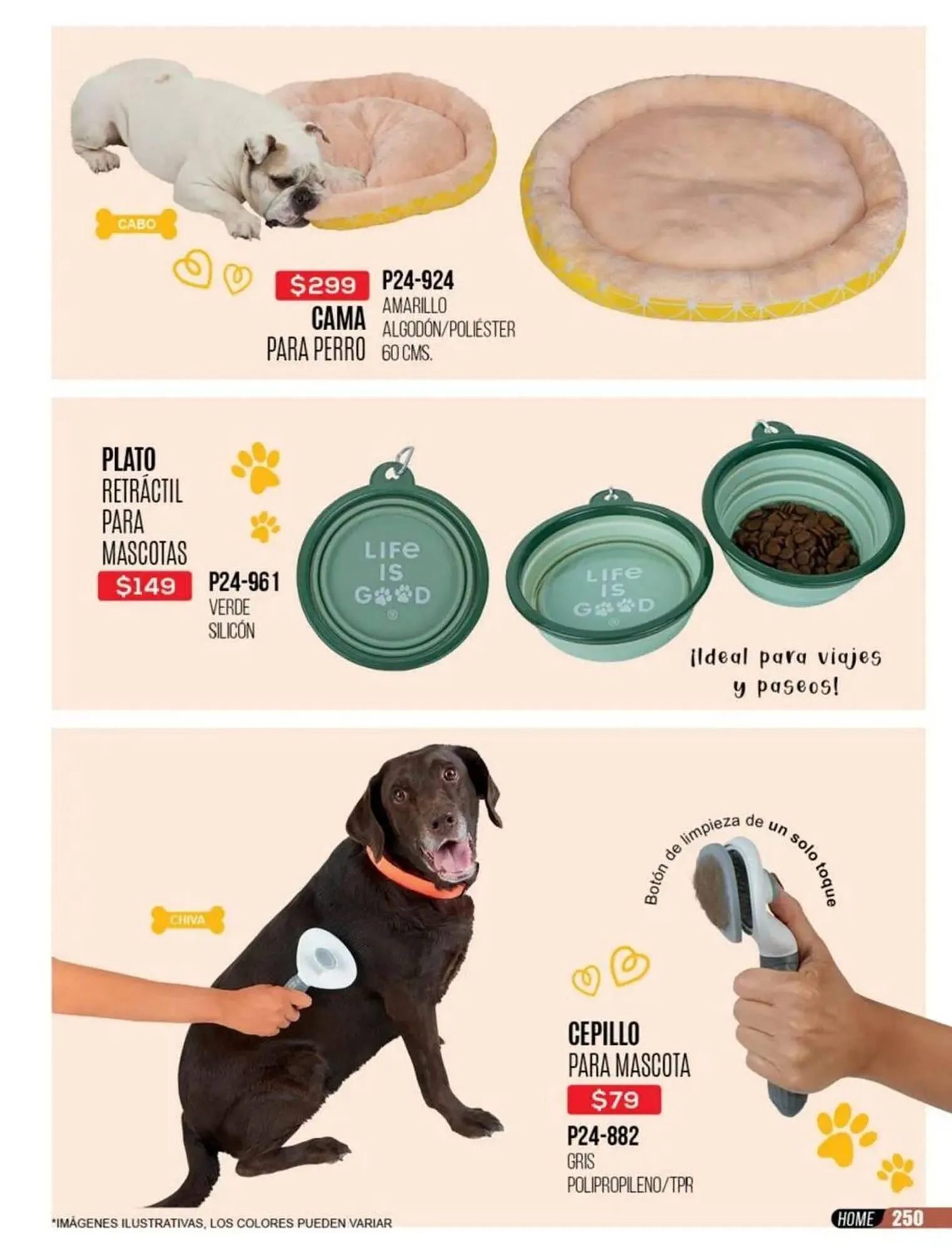 Catálogo de Catálogo Cklass 31 de octubre al 31 de diciembre 2025 - Pagina 253