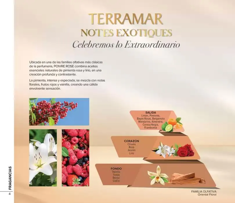 Catálogo de MX 1 de mayo al 31 de mayo 2025 - Pagina 4