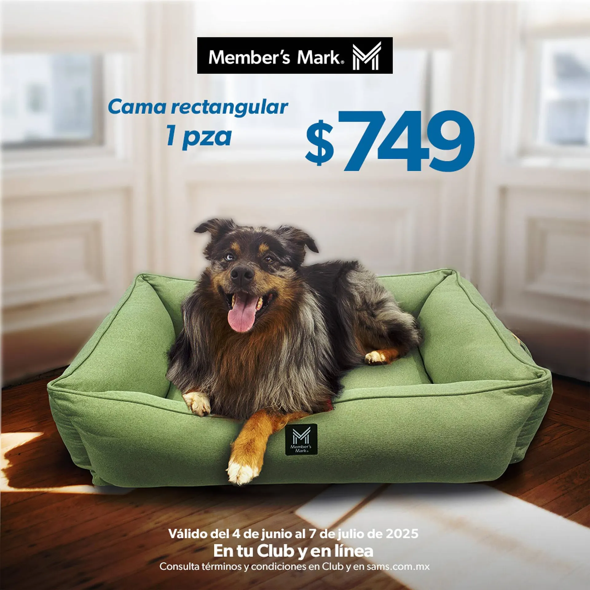 Catálogo de Catálogo Sam's Club 5 de junio al 7 de junio 2025 - Pagina 3