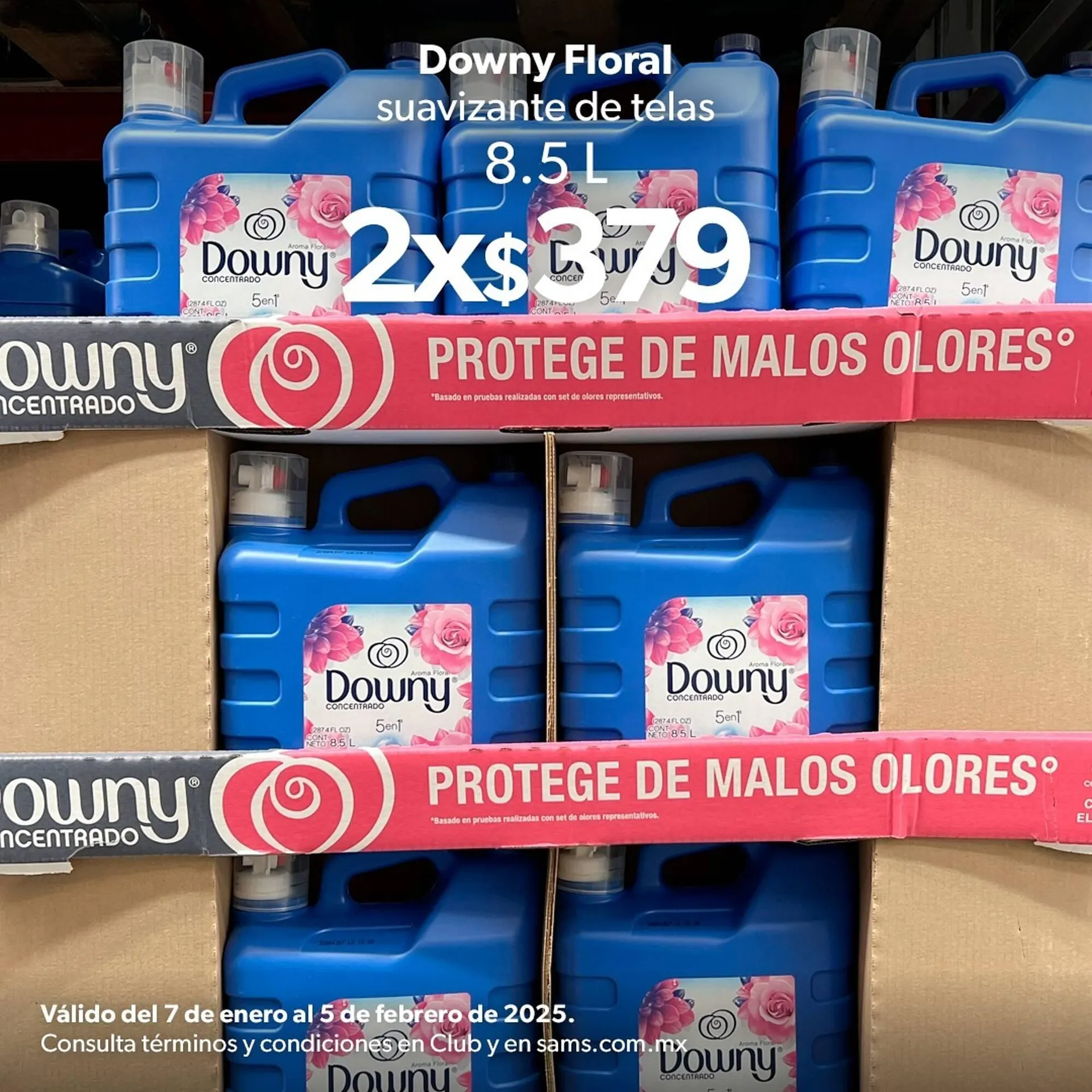 Catálogo de Catálogo Sam's Club 5 de febrero al 16 de febrero 2025 - Pagina 4