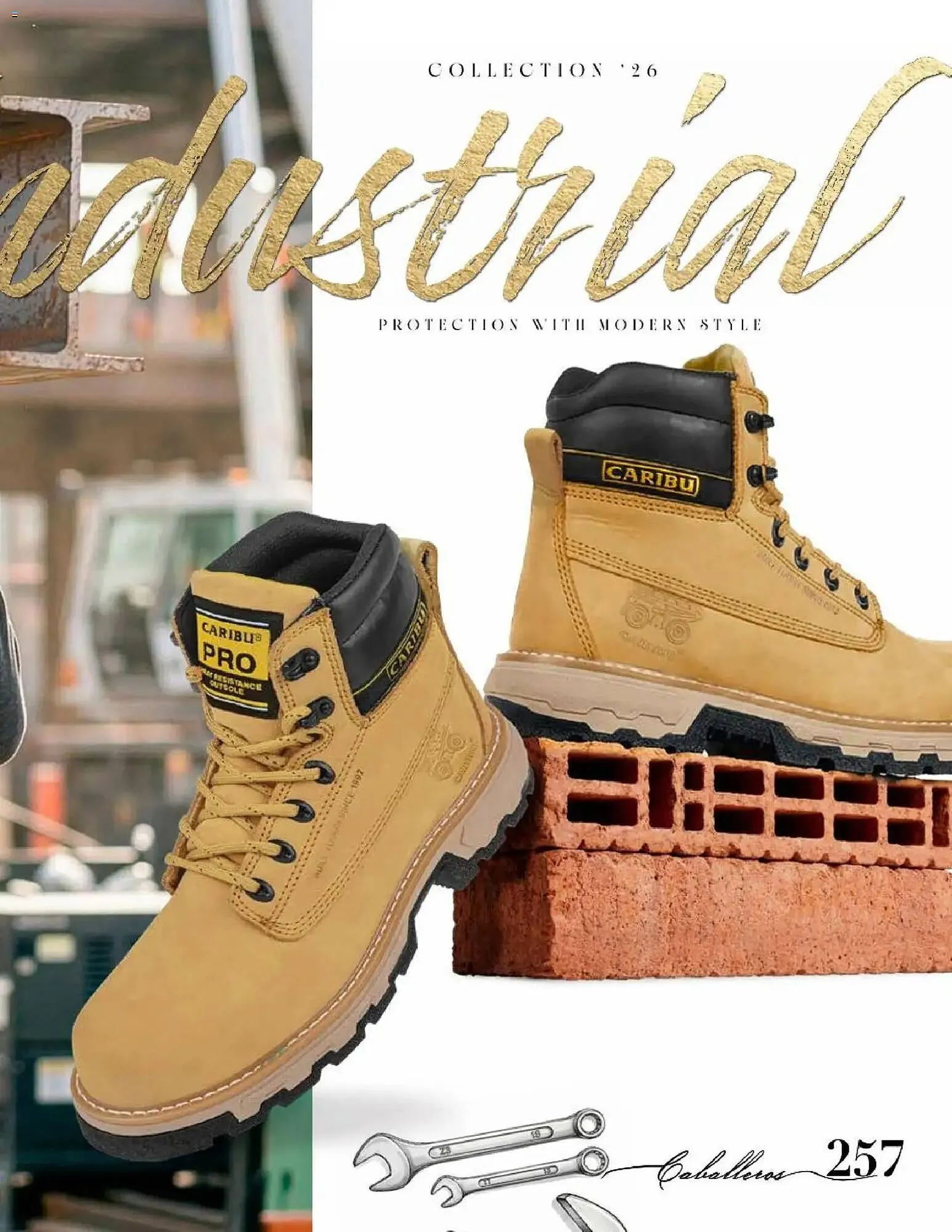 Catálogo de Catálogo Price Shoes 14 de mayo al 1 de octubre 2027 - Pagina 257