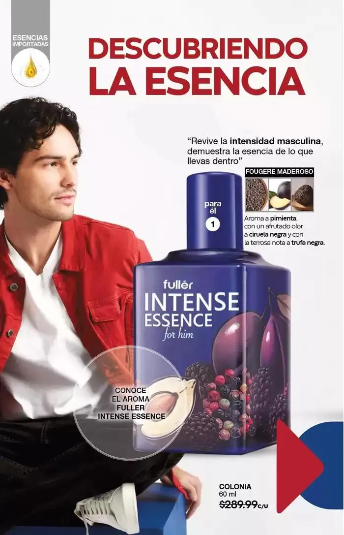 Catálogo de Fuller CAMPAÑA 19 27 de diciembre al 14 de enero 2025 - Pagina 92