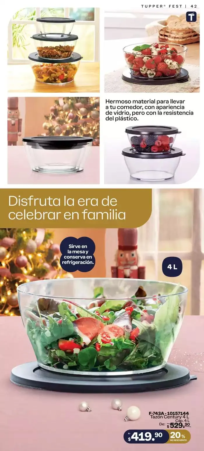 Catálogo de Tupper Tips 20 de diciembre al 29 de diciembre 2024 - Pagina 42