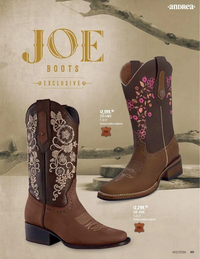 Catálogo de ANDREA - CALZADO DAMA 26 de agosto al 25 de enero 2025 - Pagina 2