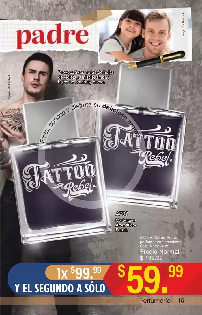 Catálogo de MX 12 de mayo al 29 de mayo 2025 - Pagina 15