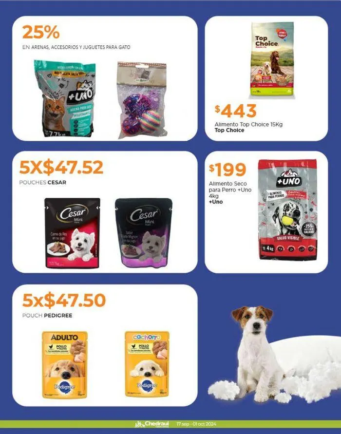 Catálogo de Llevarte más cuesta menos 18 de septiembre al 1 de octubre 2024 - Pagina 9