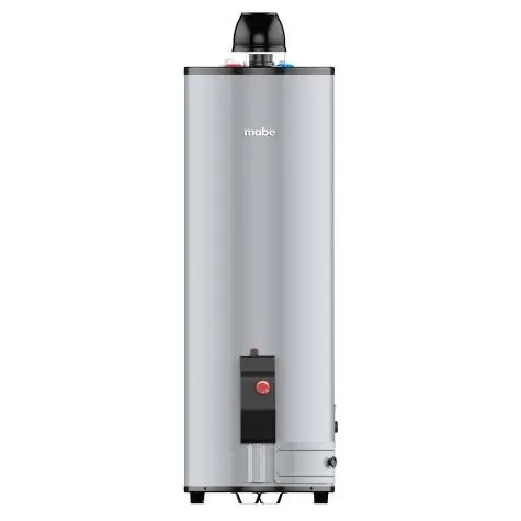 Calentador De Depósito 38 Lts Gas Lp