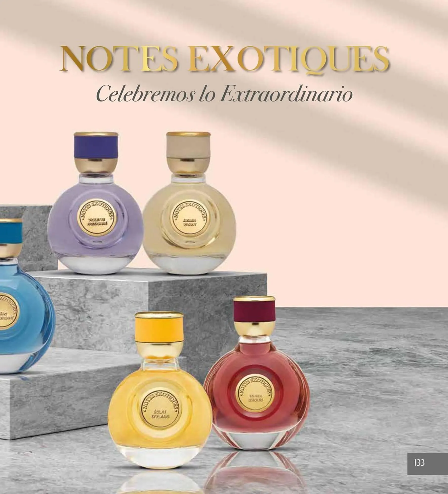 Catálogo de Catálogo Terramar Brands 5 de agosto al 31 de diciembre 2025 - Pagina 133