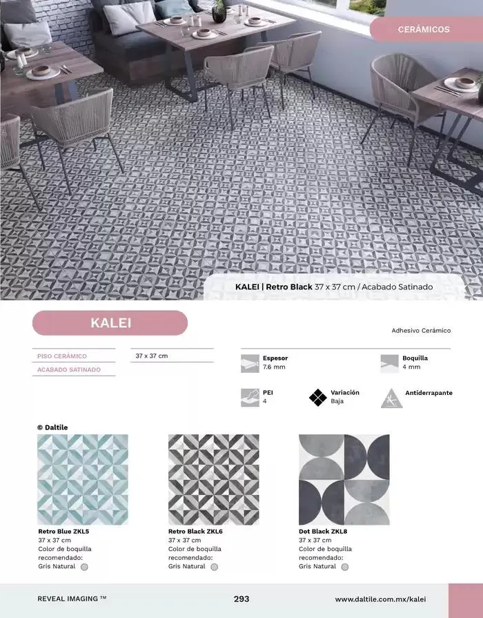 Catálogo de Catalogo 2025 10 de enero al 31 de diciembre 2025 - Pagina 293