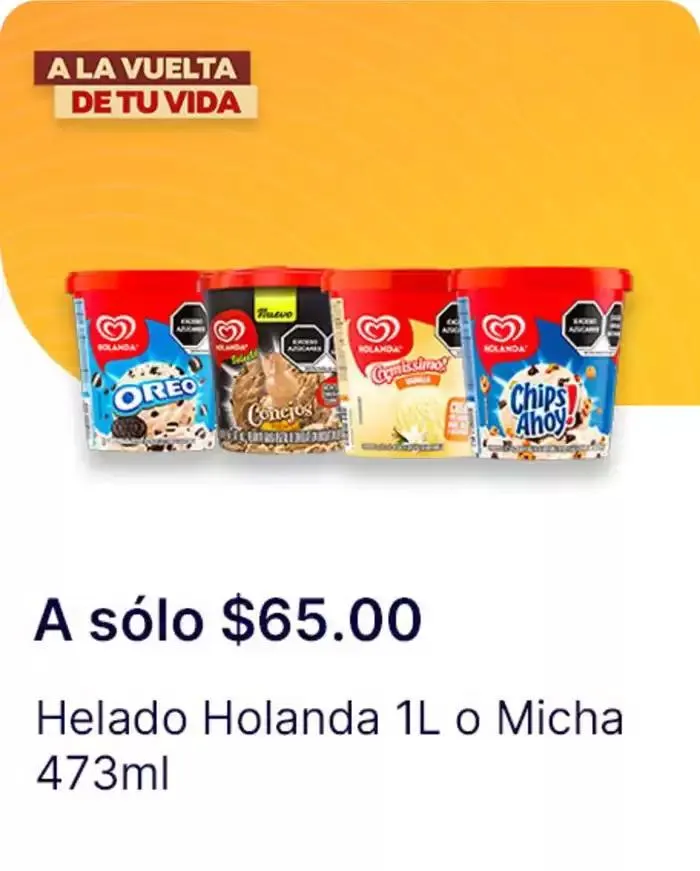 Catálogo de A la vuelta de tu vida 2 de diciembre al 1 de enero 2025 - Pagina 17