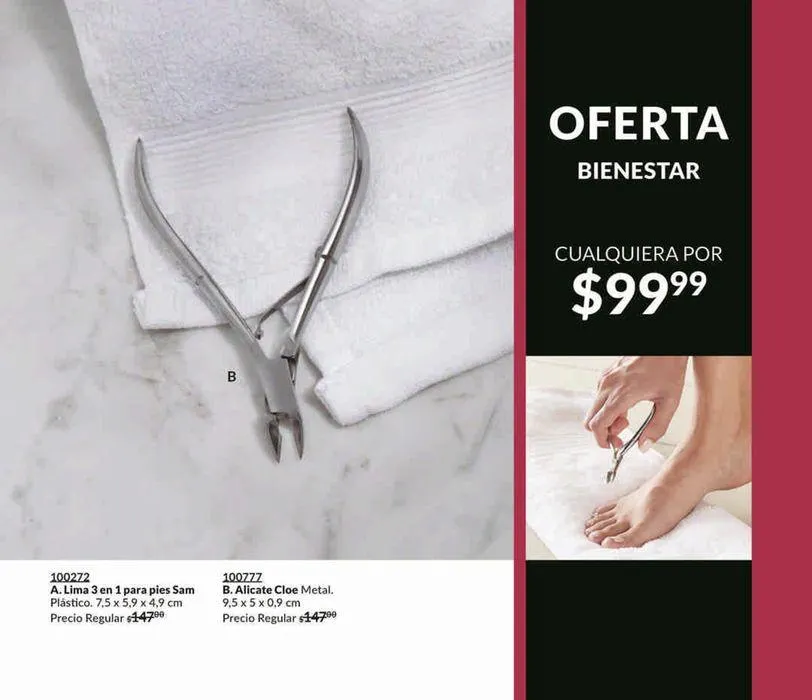 Catálogo de Avon Casa & Estilo C15 14 de agosto al 18 de septiembre 2024 - Pagina 103