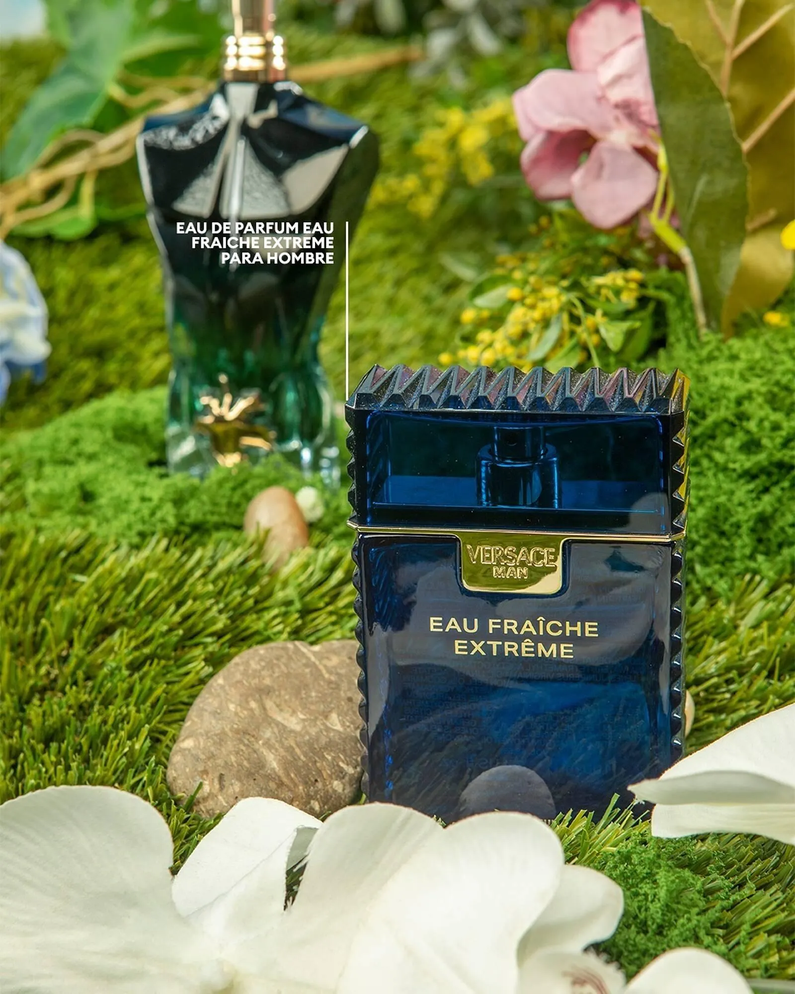 Catálogo de Catálogo Cimaco 23 de febrero al 1 de marzo 2026 - Pagina 2