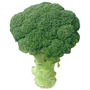BROCOLI