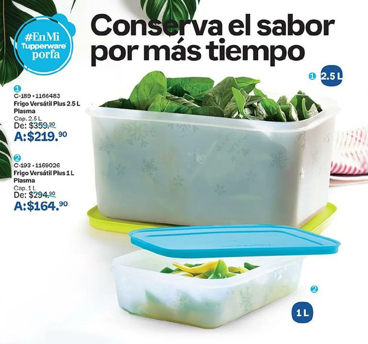 Catálogo de Tupperware 4 de septiembre al 16 de septiembre 2024 - Pagina 54