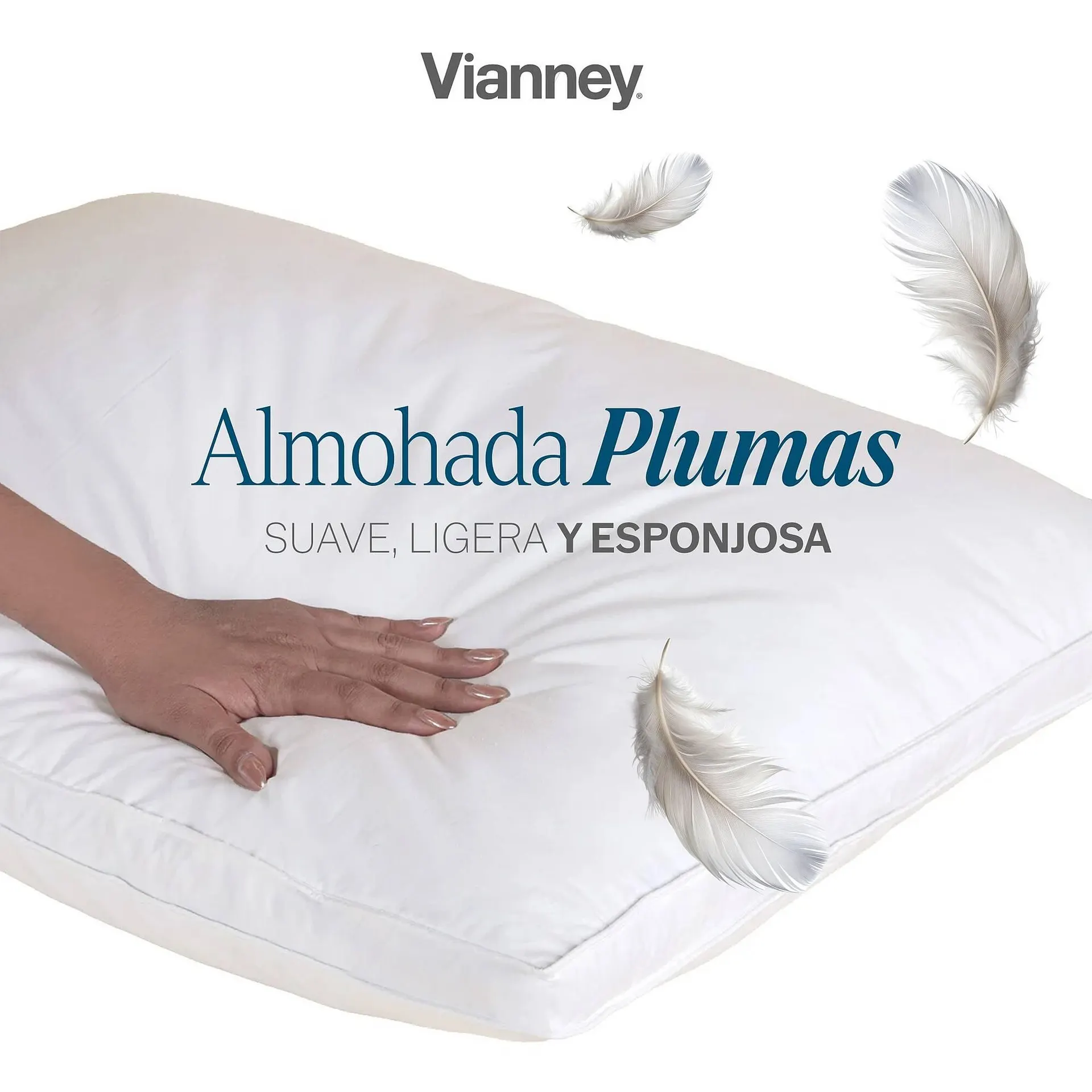 Catálogo de Catálogo Vianney 20 de enero al 31 de enero 2026 - Pagina 2