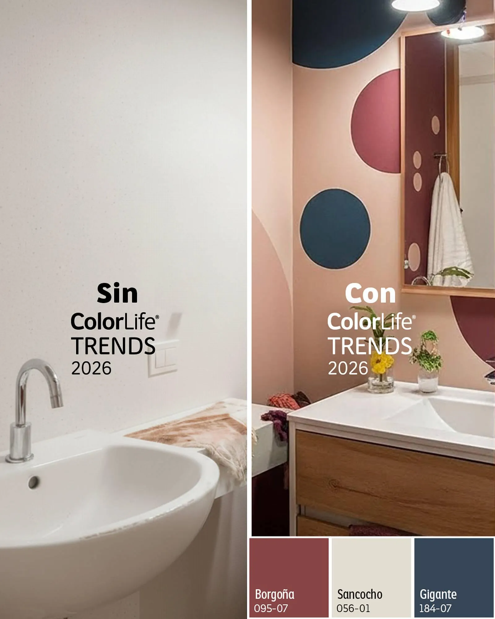 Catálogo de Catálogo Comex 16 de enero al 31 de enero 2026 - Pagina 4