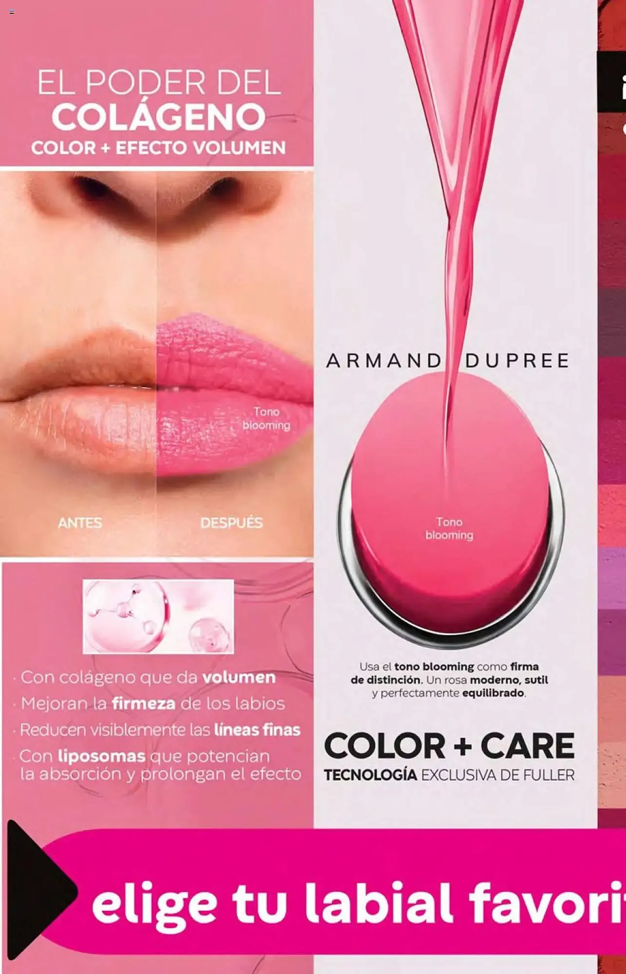 Catálogo de Catálogo Fuller 23 de julio al 13 de agosto 2025 - Pagina 4