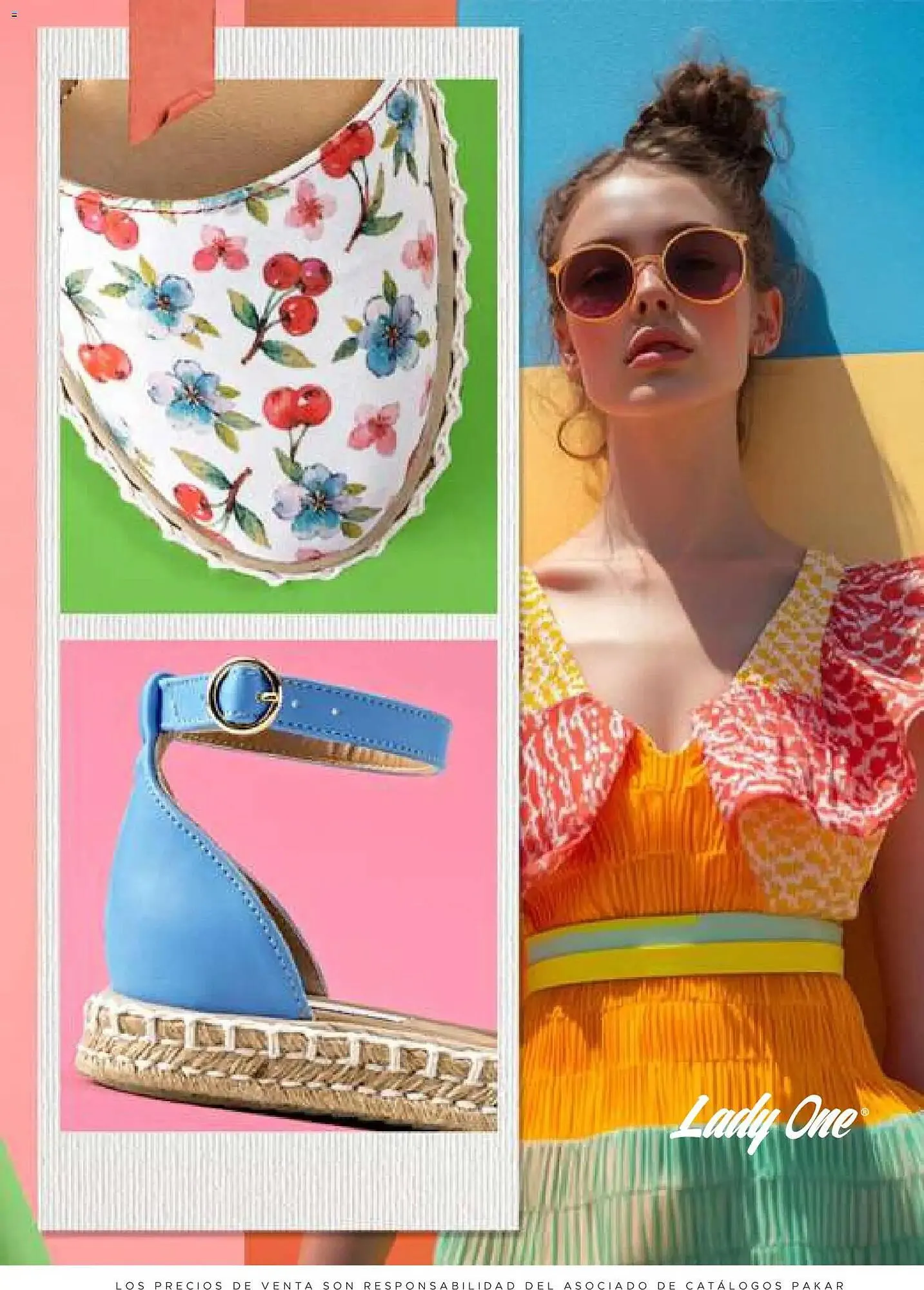 Catálogo de Catálogo SC Pakar 30 de enero al 1 de julio 2026 - Pagina 113