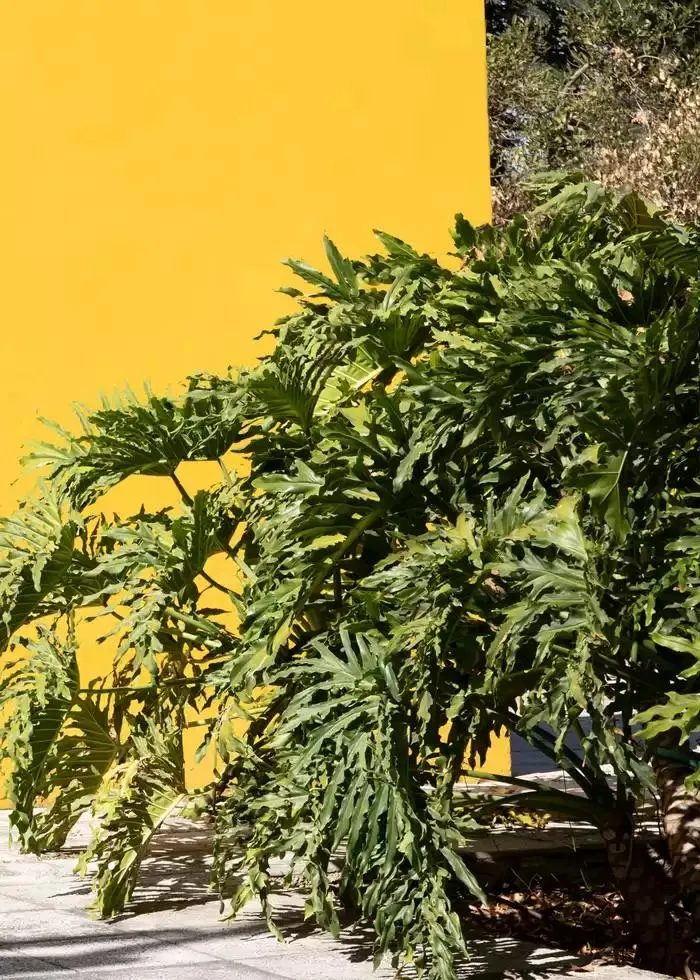 Catálogo de Catálogo Primavera 2025 25 de marzo al 31 de mayo 2025 - Pagina 3